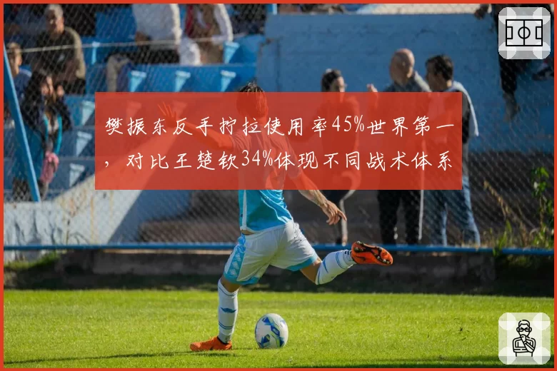 樊振东反手拧拉使用率45%世界第一，对比王楚钦34%体现不同战术体系